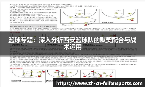 篮球专题：深入分析西安篮球队的默契配合与战术运用